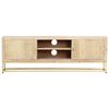 vidaXL TV Cabinet Gold 120x30x40 cm Solid Mango Wood