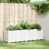 vidaXL Garden Planter White 160x40x53 cm PP