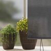 vidaXL Outdoor Roller Blind Striped Anthracite 200 x 250 cm Fabric