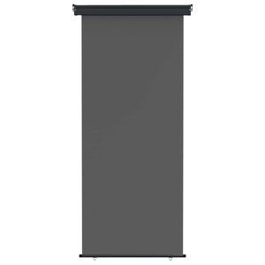vidaXL Balcony Side Awning 60 x 250 cm 100% polyester iron steel