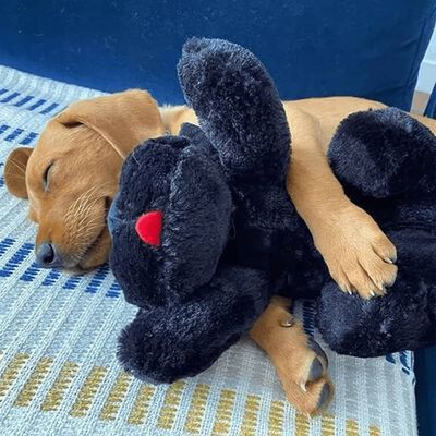 Snuggle Puppy Heartbeat Stuffed Dog Toy Black