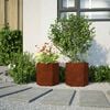 vidaXL Garden Planters 2 pcs Hexagon 46x40x45 cm Weathering Steel