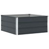 vidaXL Planter Anthracite 100 x 100 x 45 cm Steel
