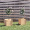 vidaXL Garden Planters 2 pcs 40x40x40 cm Solid Pinewood