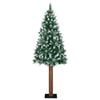 Product Thumbnail Image 4 of 18