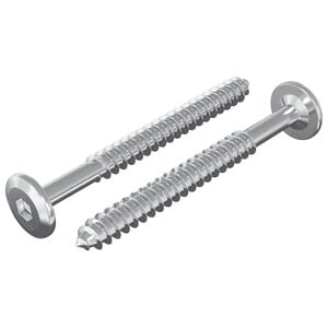 vidaXL Wood Screws 2 pcs Silver M6 x 70 mm Steel