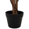 Product Thumbnail Image 3 of 5