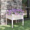 Product Thumbnail Image 2 of 7