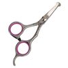 vidaXL 5 Piece Dog Grooming Scissors Set Stainless Steel