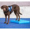 FitPAWS Pet Balance Pad 38x46x5 cm Blue