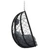 vidaXL Hanging Egg Chair Anthracite 91.5 x 60 x 110 cm Poly Rattan