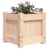 vidaXL Garden Planters 2 pcs Solid Wood Pine