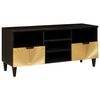 vidaXL TV Cabinet Black and Gold 100 x 33 x 46 cm Engineered wood