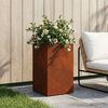 Product Thumbnail Image 2 of 10