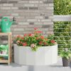 Product Thumbnail Image 2 of 12