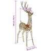 Product Thumbnail Image 10 of 10