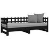 vidaXL Pull-out Day Bed without Mattress Black 2x(80x200) cm