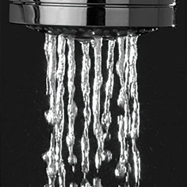 Tiger Shower Head Boston Massage Stainless Steel Polished