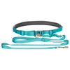 TRIXIE Waist Belt with Leash S/M Blue