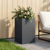 Product Thumbnail Image 2 of 7