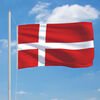 vidaXL Denmark Flag 90x150 cm