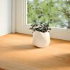 vidaXL Window Sills 2 pcs Light Brown 90x25x2 cm Solid Wood Oak