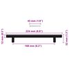 vidaXL Cabinet Handles 10 pcs Black 160 mm Stainless Steel