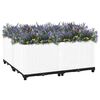 Product Thumbnail Image 2 of 7