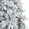 Product Thumbnail Image 5 of 9