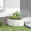 Product Thumbnail Image 4 of 12