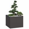 Product Thumbnail Image 2 of 9