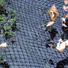 Velda Cover Net 2 x 3 m for Ponds