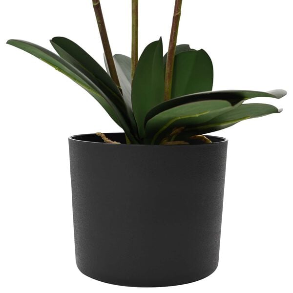 Showing Product Image 2 of 4