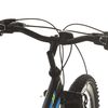 vidaXL Mountain Bike 21 Speed 26 inch Wheel 49 cm Black
