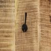 Product Thumbnail Image 11 of 12