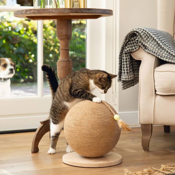 Designed by Lotte Cat Scratch Globe Balty Wooden XL