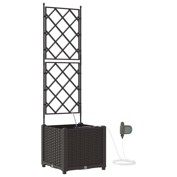Showing Product Image 1 of 10