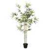 Product Thumbnail Image 4 of 7