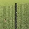Product Thumbnail Image 4 of 14