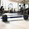 vidaXL 2-in-1 Dumbbell Set Black and Blue 121 x 19.5 x 19.5 cm