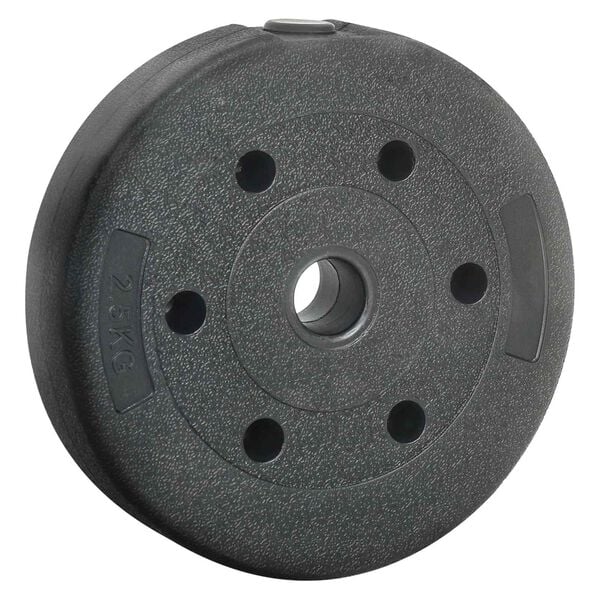 vidaXL Weight Plates 4 pcs Black &Oslash; 21.5 x 3.8 cm