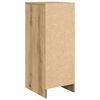 vidaXL Shoe Cabinet Artisan Oak 29.5x34x76 cm Engineered Wood