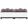 vidaXL Raised Bed 80x40x23 cm Polypropylene