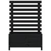 vidaXL Garden Planter with Rack Black 79x39.5x114 cm Solid Wood Pine