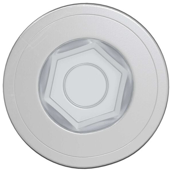 vidaXL Confirmat Screws 2 pcs Silver Metal