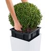 LECHUZA Planter Cubico Color 40 ALL-IN-ONE White 13150