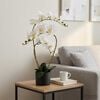 Product Thumbnail Image 2 of 5