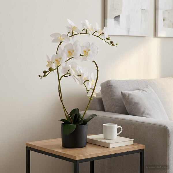 Showing Product Image 2 of 5