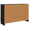 vidaXL Sideboard with Drawer Black 100 x 30 x 65.6 Engineered Wood