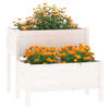 Product Thumbnail Image 3 of 7